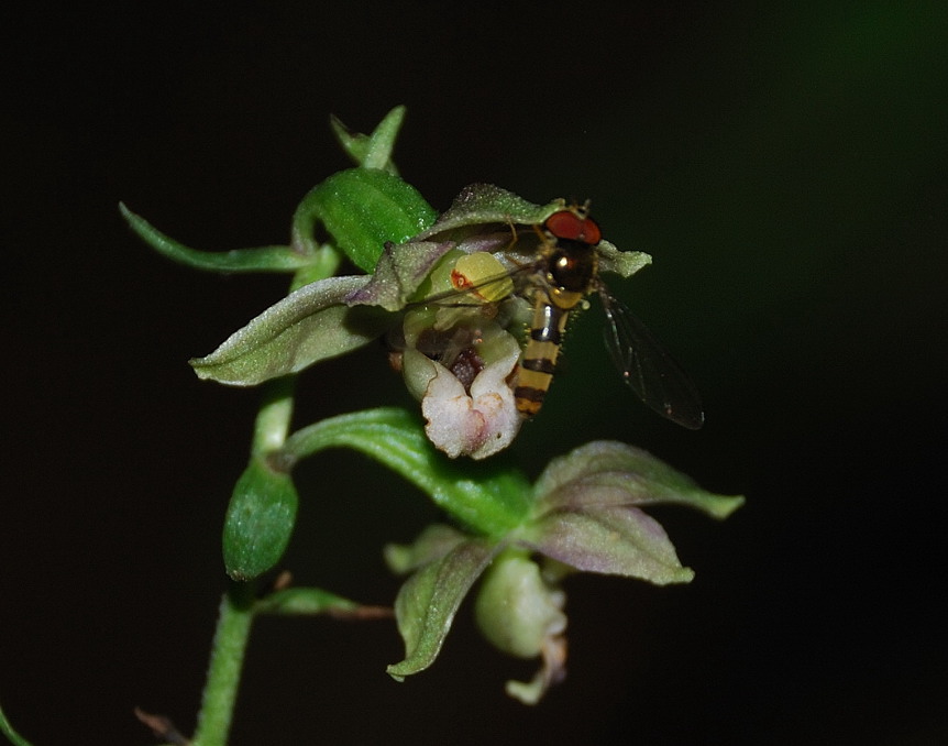 DSC_7783.jpg