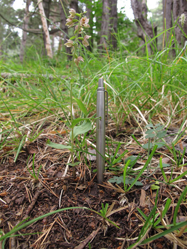 Arroscia 15082011.jpg