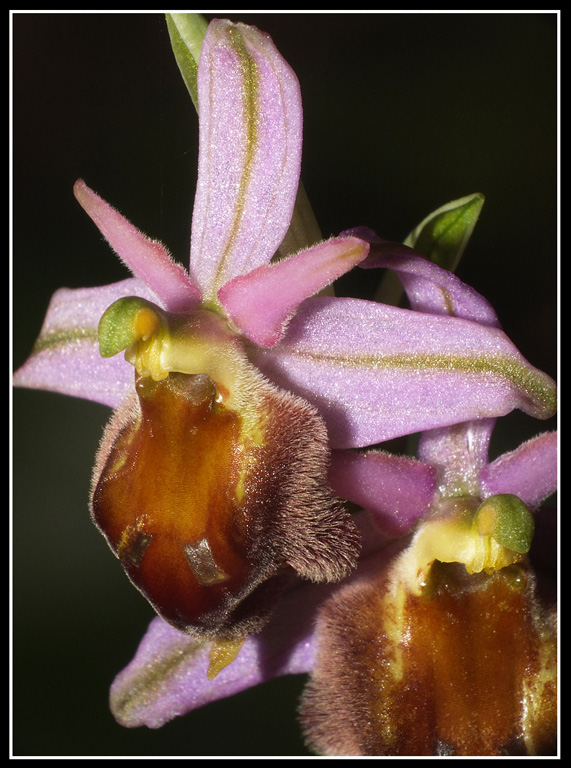 DSCF5879.jpg