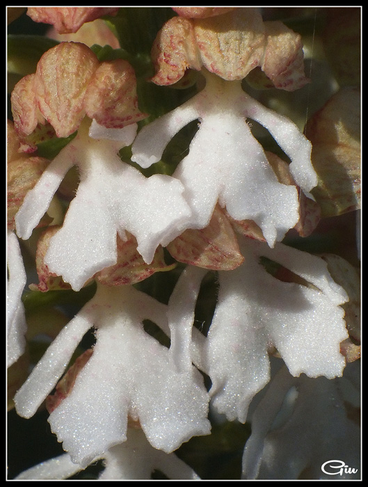 DSCF0519.jpg