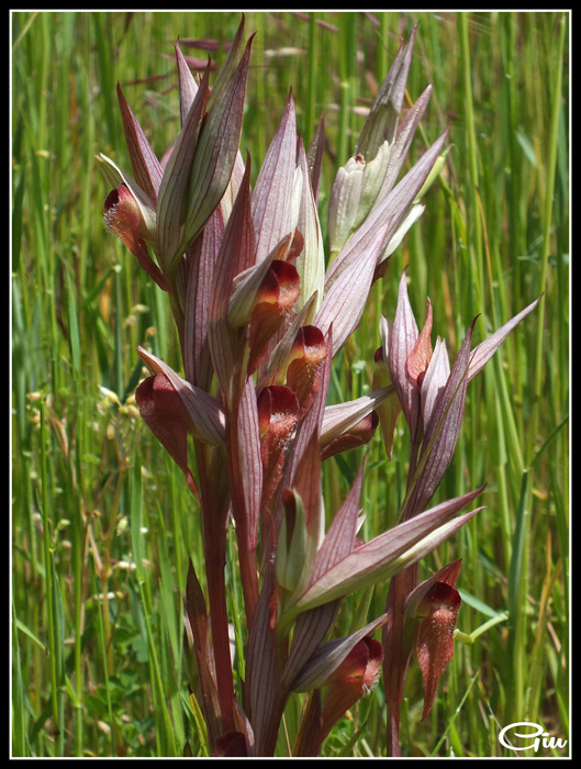 DSCF3161.jpg