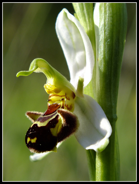 DSCF4173.jpg