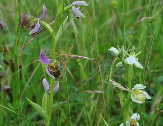 canip 11 05 2014 012.jpg