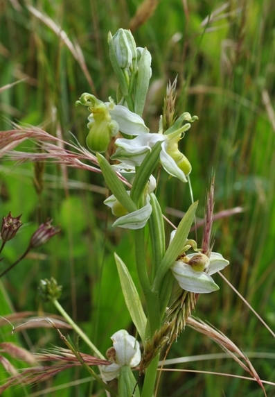 canip 11 05 2014 023.jpg