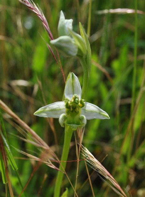 canip 11 05 2014 026.jpg