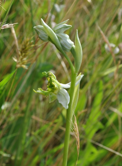 canip 11 05 2014 027.jpg