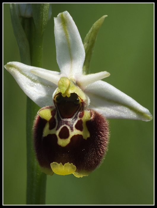DSCF3792.jpg