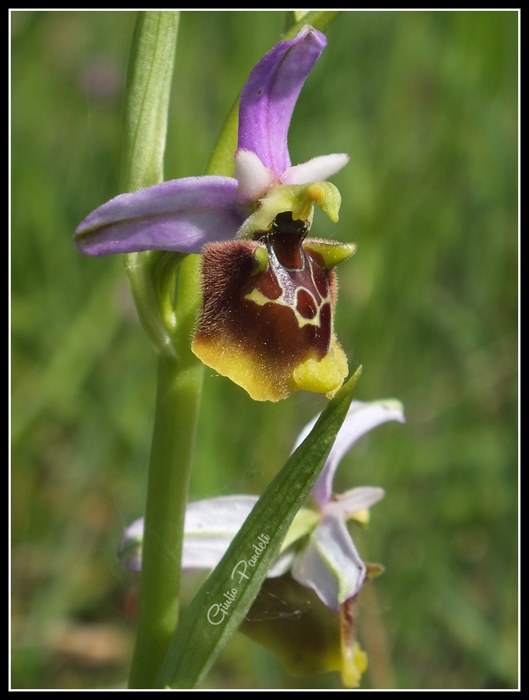DSCF3859.jpg
