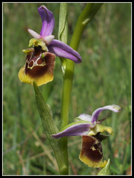 DSCF3888.jpg
