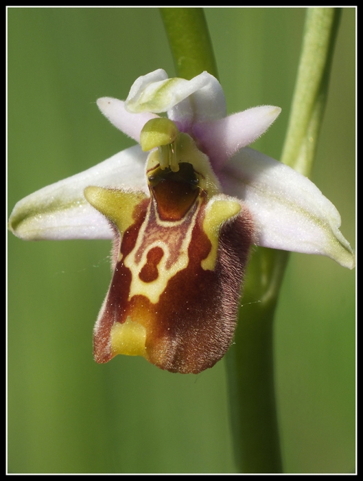 DSCF3943.jpg