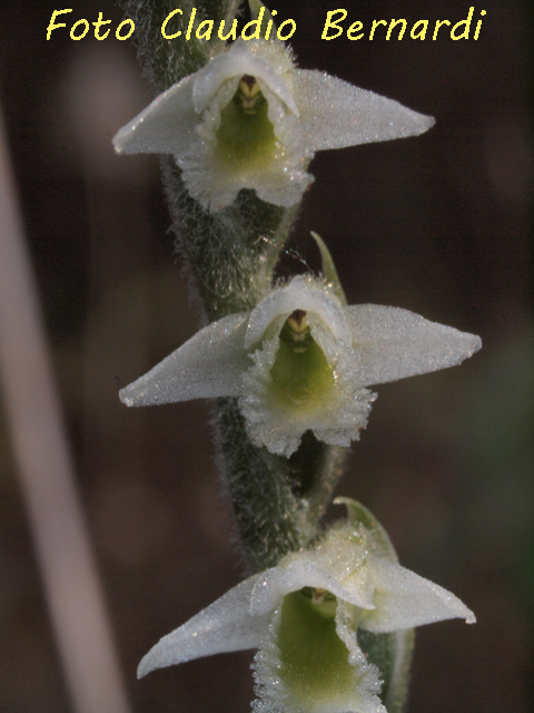 PA011109.jpg