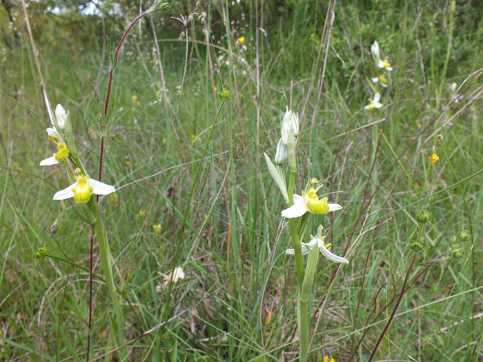 DSCF6094.jpg