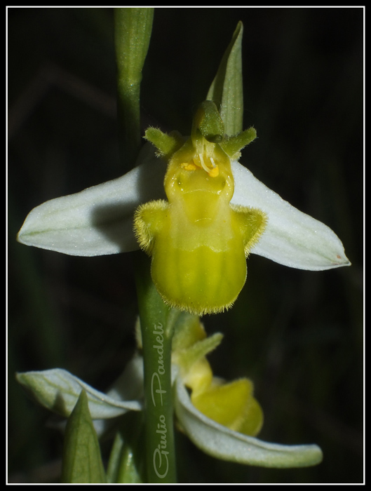 DSCF6122.jpg
