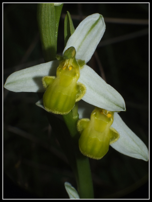 DSCF6088.jpg