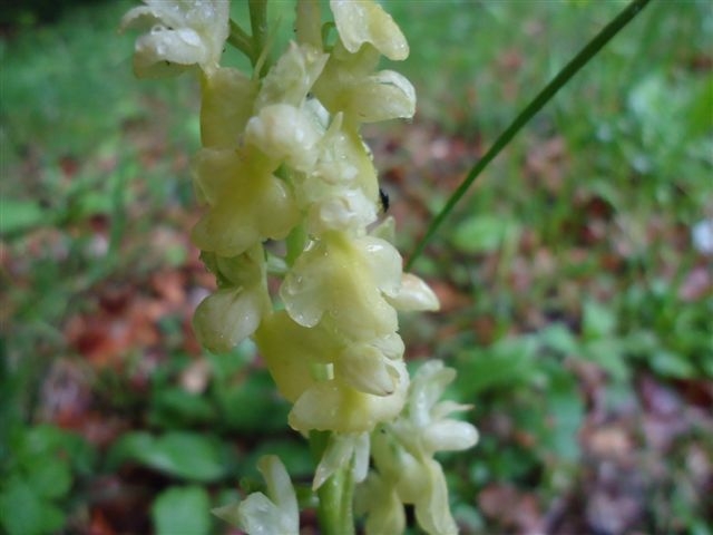 DSC02308.JPG