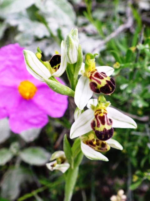 DSCF7624.JPG
