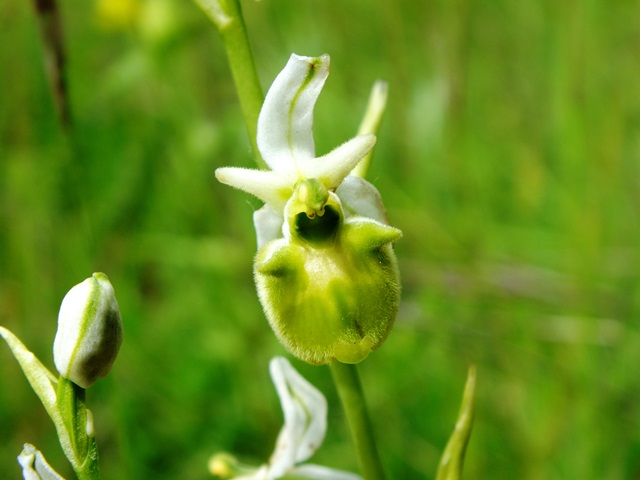 DSCF7710.JPG