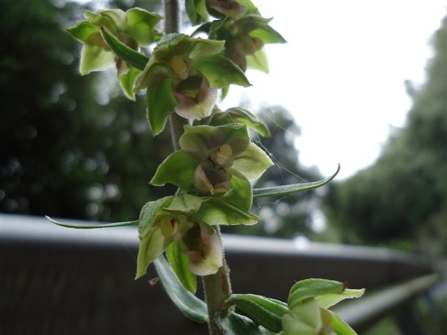 DSC02346.JPG