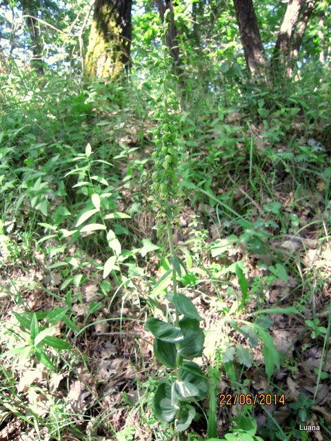 1-IMG_7341.JPG