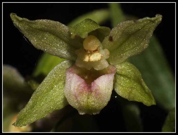 DSCF6275.jpg