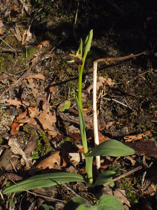 DSCF1368.jpg