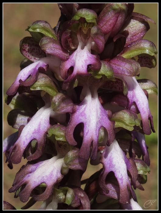 DSCF2927.jpg