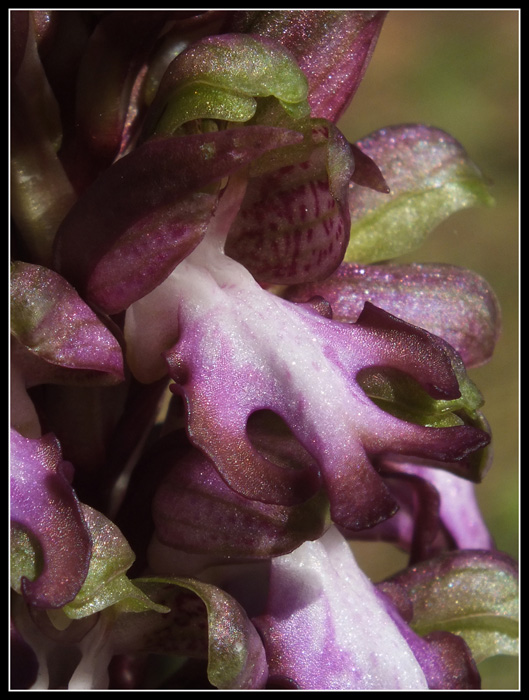 DSCF2930.jpg