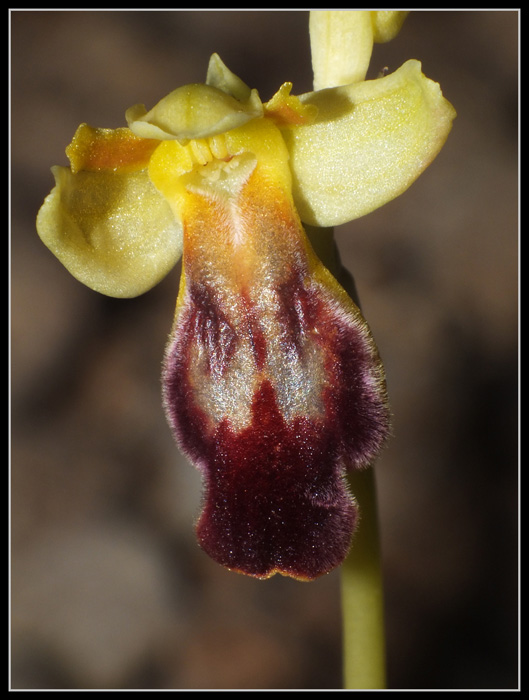DSCF8895.jpg