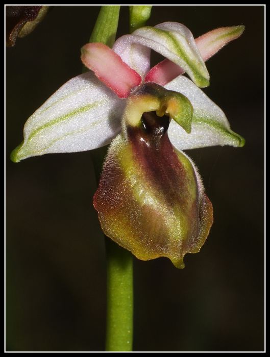 DSCF2210.jpg