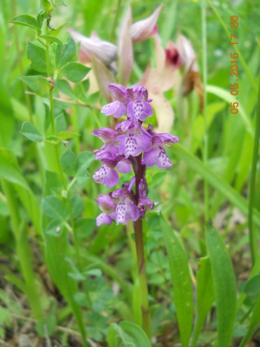 DSCN0390.JPG