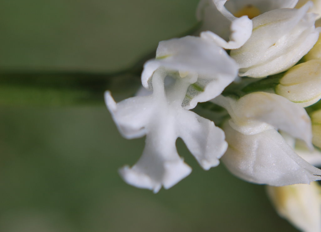 DSC_5044.jpg