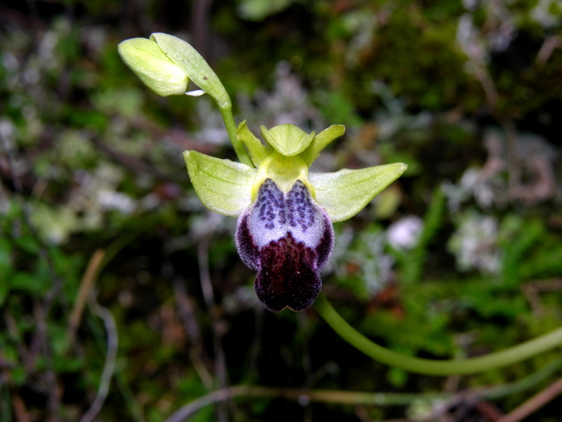 DSCN9678.JPG