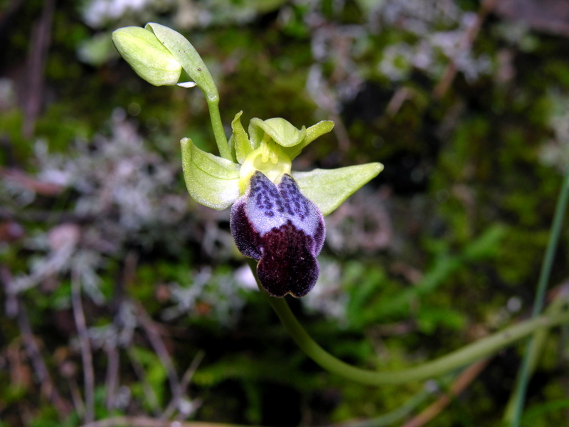 DSCN9681.JPG
