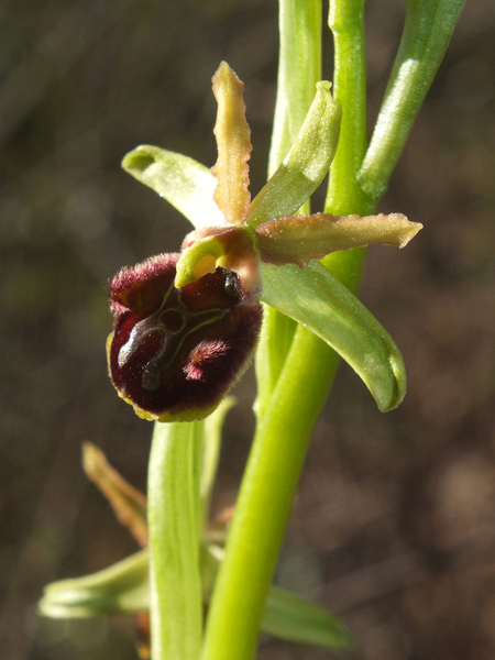 DSCF2453.jpg