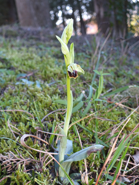 DSCF2507.jpg