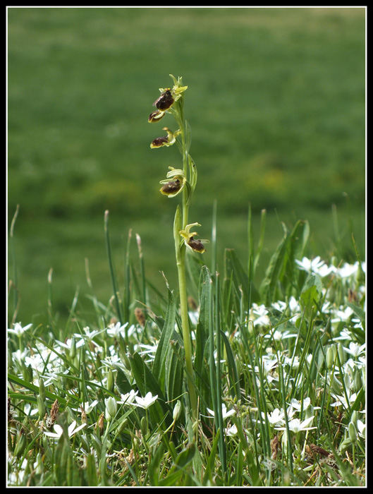 DSCF4717.jpg