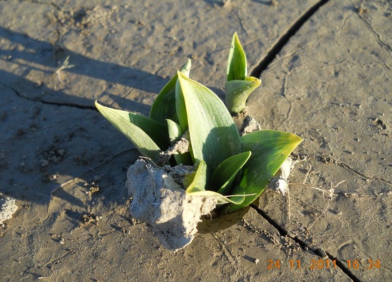 DSCN1270.JPG