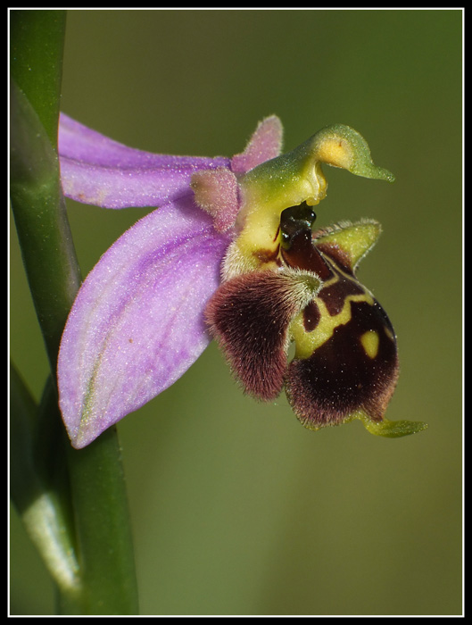 DSCF1571.jpg