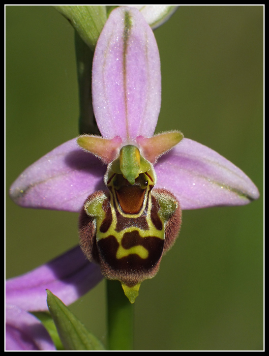 DSCF1575.jpg
