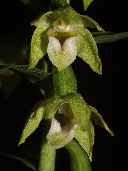 DSCF4711.jpg
