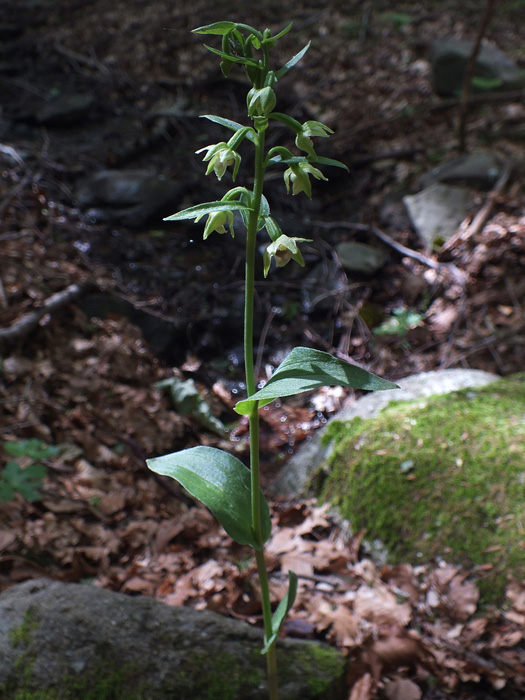 DSCF4702.jpg