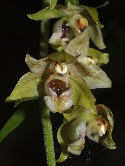 DSCF5138.jpg
