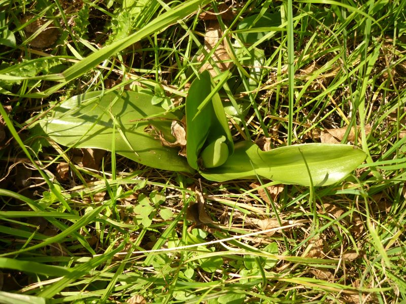 val 010125.JPG