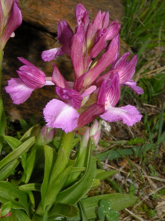 ab02.jpg