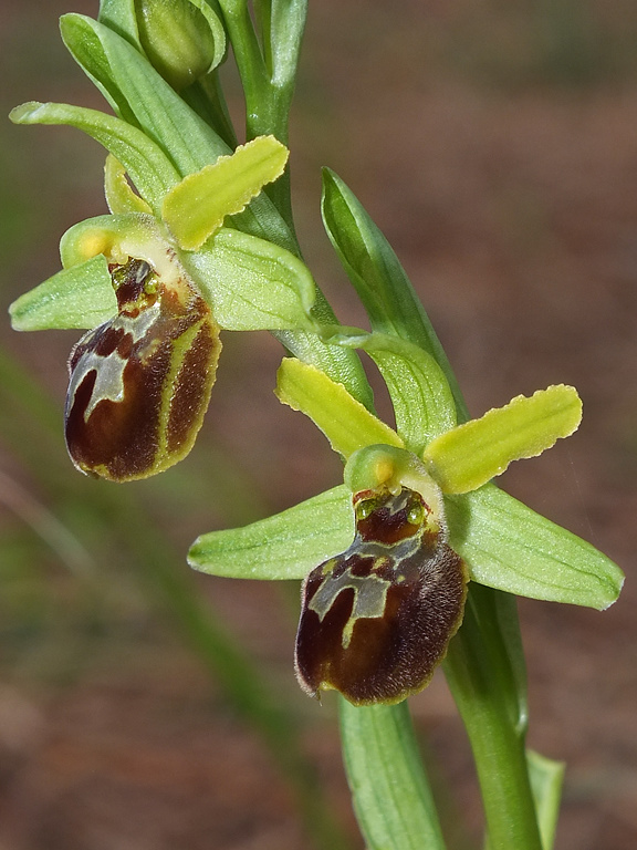 DSCF2611.jpg