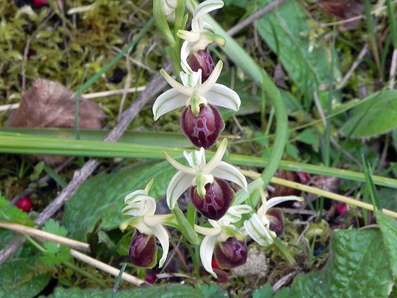 DSCN2602.JPG