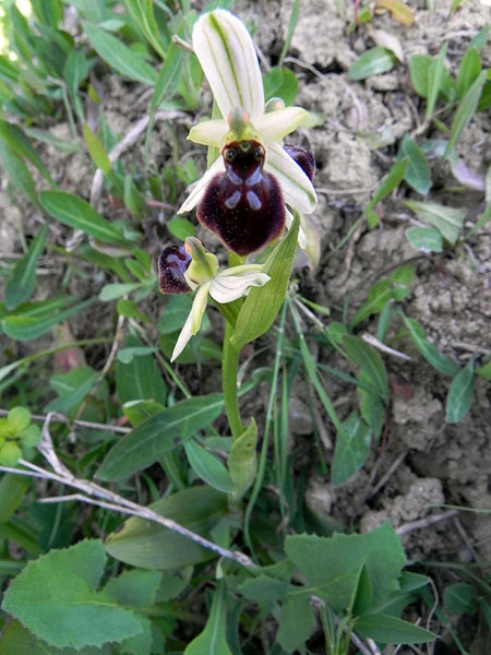 DSCN2561.JPG