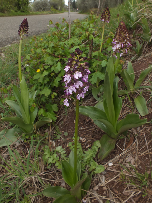 DSCF3641.jpg