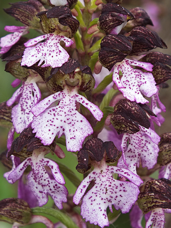 DSCF36343.jpg