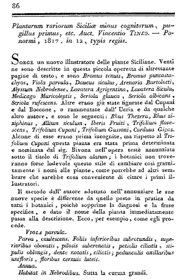 Tineo, 1817.JPG